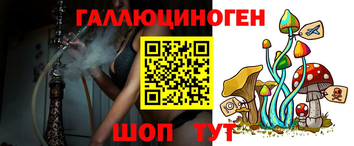 Галлюциногенные грибы Psilocybe Шатура