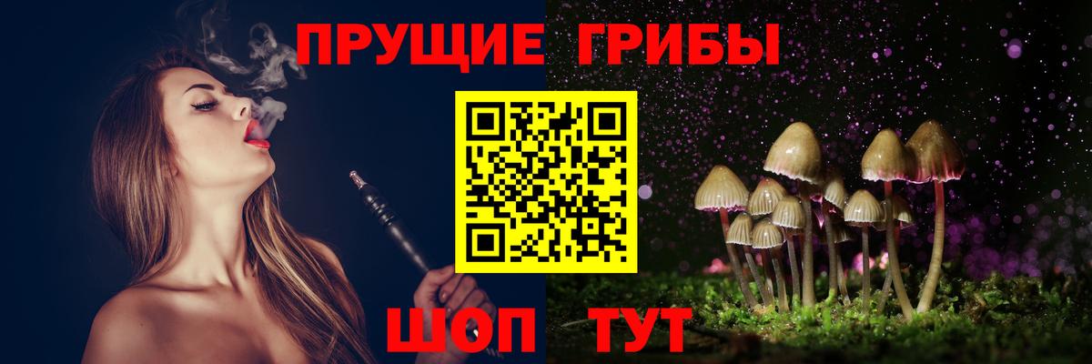 Шатура  Галлюциногенные грибы Cubensis  Псилоцибиновые грибы Cubensis  Вход с VPN 
