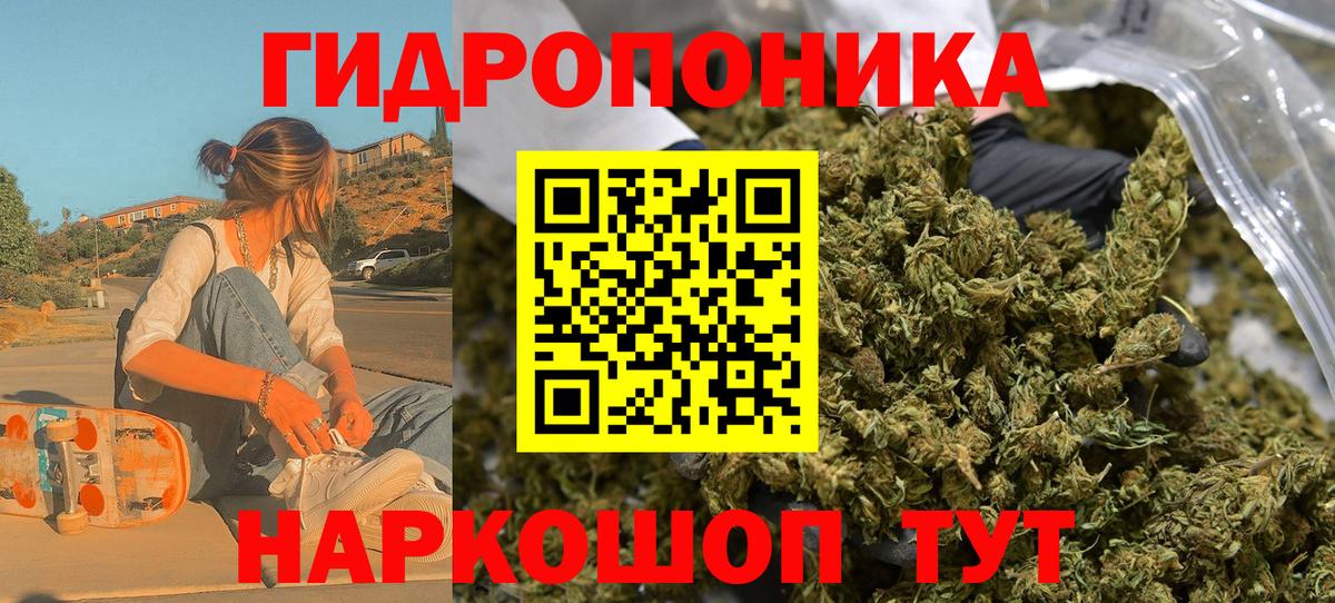 Бошки Шишки план Шатура
